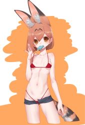 Rule 34 | 1girl, animal ear fluff, animal ears, bikini, cat ears, cat girl, cat tail, food, highres, ice cream, kemono friends, looking at viewer, notora, orange eyes, orange hair, red bikini, serval (kemono friends), short hair, shorts, simple background, solo, swimsuit, tail