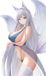 Rule 34 | 1girl, adapted costume, animal ear fluff, animal ears, arm under breasts, azur lane, bikini, blue eyes, breasts, covered erect nipples, fox ears, grey hair, highres, huge breasts, kdkaikai, kitsune, large tail, long hair, looking at viewer, multiple tails, navel, official alternate costume, revealing clothes, see-through silhouette, shinano (azur lane), shinano (dreams of the hazy moon) (azur lane), simple background, solo, standing, swimsuit, tail, thighhighs, very long hair, white background, white thighhighs