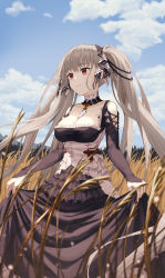 Rule 34 | 1girl, absurdly long hair, absurdres, azur lane, bad id, bad pixiv id, black dress, black ribbon, blue sky, breasts, choker, cleavage, closed mouth, cloud, commentary, day, dress, expressionless, formidable (azur lane), frilled dress, frills, grey hair, hair ribbon, highres, large breasts, long hair, long sleeves, looking to the side, outdoors, red eyes, revision, ribbon, scenery, sidelocks, sky, sleeves past wrists, solo, standing, sunlight, tem, twintails, very long hair, wheat field
