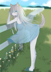 Rule 34 | 1girl, animal ear fluff, animal ears, aqua dress, blurry, blurry background, blush, breasts, commentary request, dog ears, dog girl, dog tail, dress, floating clothes, flower, full body, furry, furry female, grass, grey hair, hair over one eye, highres, large breasts, leaning forward, leaning on object, long hair, looking at viewer, looking to the side, original, outdoors, see-through silhouette, slippers, solo, tail, tail under clothes, very long hair, yongen yu