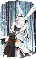Rule 34 | 1girl, animal ears, arknights, bla (artist), black dress, black gloves, breasts, rabbit ears, capelet, closed mouth, commentary, dress, expressionless, frostnova (arknights), gloves, hair over one eye, long hair, scar, solo, turtleneck, white hair