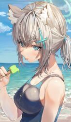 Rule 34 | 1girl, absurdres, animal ear fluff, animal ears, bare shoulders, beach, blue archive, blue eyes, blush, breasts, cross hair ornament, extra ears, grey hair, hair ornament, halo, highres, looking at viewer, medium breasts, medium hair, one-piece swimsuit, rangen, shiroko (blue archive), shiroko (swimsuit) (blue archive), short ponytail, sidelocks, swimsuit, wolf ears