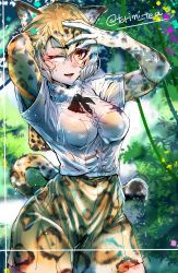 Rule 34 | 1girl, animal ears, arm behind head, arms up, black hair, blonde hair, bra, breasts, cowboy shot, day, dripping, elbow gloves, elbow pads, fang, fur collar, gloves, hair between eyes, hand on own forehead, hand on own head, highres, jaguar (kemono friends), jaguar ears, jaguar girl, jaguar print, jaguar tail, kemono friends, looking at viewer, medium breasts, medium hair, miniskirt, multicolored hair, one eye closed, orange eyes, outdoors, parted lips, print gloves, print skirt, see-through, shirt, short sleeves, skirt, smile, solo, tail, torichamaru, twitter username, underwear, up sleeve, wet, wet clothes, wet face, wet hair, wet shirt, wet skirt, white hair, white shirt