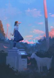 Rule 34 | 1girl, absurdres, animal, blue skirt, bush, dusk, fjsmu, goat, highres, kneehighs, original, outdoors, paper, paper in mouth, photocopier, power lines, scenery, shirt, shoes, skirt, socks, solo, standing, standing on object, utility pole, white shirt