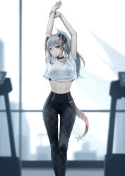 Rule 34 | 1girl, abs, absurdres, alternate hairstyle, arknights, arms up, bare arms, black choker, black pants, brown eyes, chinese commentary, choker, commentary request, crop top, crop top overhang, earrings, feet out of frame, highres, horns, indoors, jewelry, leggings, long hair, looking at viewer, midriff, muscular, pants, ponytail, saria (arknights), shirt, short sleeves, silver hair, solo, standing, stomach, stretching, stud earrings, tail, thighs, white shirt, yunkaiming