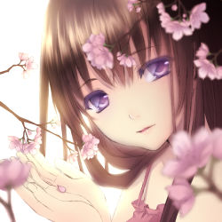 Rule 34 | 1girl, blurry, brown hair, cherry blossoms, colored eyelashes, depth of field, eyelashes, female focus, flower, lips, long hair, looking at viewer, nana mikoto, open hands, original, outstretched hand, portrait, purple eyes, solo, white background