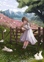 Rule 34 | 1girl, :d, absurdres, animal, blue eyes, blush, brown footwear, brown hair, chinese zodiac, cloud, commentary request, day, dress, eyelashes, falling petals, fence, field, floating hair, flower, flower field, full body, gate, grass, grey socks, hair intakes, highres, holding, holding animal, holding rabbit, leaning on object, loafers, long hair, long sleeves, looking at viewer, mountain, open mouth, original, outdoors, path, petals, pink flower, rabbit, road, scenery, shoes, sidelocks, silvertsuki, sky, smile, socks, solo, standing, teeth, tree, upper teeth only, water, white dress, white flower, year of the rabbit