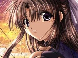 Rule 34 | 1girl, chain-link fence, crying, crying with eyes open, fence, fingerless gloves, game cg, gloves, izumo, looking at viewer, looking back, male hand, outdoors, solo, sunset, tears, touma miyuki, yamamoto kazue