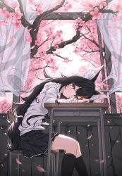 Rule 34 | 1girl, absurdres, animal ear fluff, black hair, black skirt, black socks, blush, chair, cherry blossoms, closed mouth, curtains, desk, feet out of frame, flower, from side, head on table, head rest, highres, hololive, hood, hoodie, kneehighs, long hair, long sleeves, looking at viewer, looking to the side, multicolored hair, ookami mio, pink flower, pleated skirt, red hair, school chair, school desk, sitting, skirt, socks, solo, speech bubble, streaked hair, very long hair, virtual youtuber, white hoodie, window, yellow eyes, yozora (1wkdgusdn)
