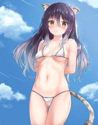 Rule 34 | 1girl, animal ear fluff, animal ears, arms behind back, bare arms, bare shoulders, bikini, black hair, blue sky, blush, breasts, breasts apart, brown eyes, cat ears, cat tail, closed mouth, cloud, collarbone, commentary request, covered erect nipples, cowboy shot, dargo, day, frown, gluteal fold, gradient hair, grey hair, groin, hair between eyes, hand on own arm, highres, looking at viewer, medium breasts, multicolored hair, navel, outdoors, princess connect!, shiori (princess connect!), sky, solo, sparkle, stomach, string bikini, swimsuit, tail, thigh gap, underboob, white bikini