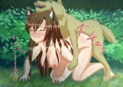 Rule 34 | 1girl, animal ears, bestiality, blush, breasts, buuta (densya101), cat ears, dog, doggystyle, imaizumi kagerou, nipples, nude, outdoors, sex, sex from behind, touhou, translation request