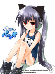 Rule 34 | 1girl, animal ears, blue one-piece swimsuit, cat ears, copyright notice, dated, fake animal ears, hima, kooh, name tag, one-piece swimsuit, pangya, school swimsuit, sitting, solo, swimsuit