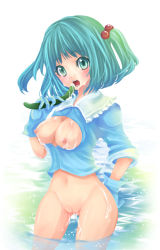 Rule 34 | 1girl, bad id, bad pixiv id, blue eyes, blue hair, bottomless, breasts, cucumber, female focus, gloves, hair bobbles, hair ornament, haou, kawashiro nitori, matching hair/eyes, nipples, open clothes, open shirt, pussy, shirt, short hair, solo, touhou, twintails, two side up, uncensored, wading, water