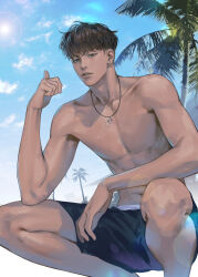 Rule 34 | 1boy, abs, absurdres, beach, brown eyes, brown hair, dark-skinned male, dark skin, day, earrings, feet out of frame, highres, jewelry, looking at viewer, male focus, male swimwear, miyagi ryouta, navel, necklace, nolja cz, outdoors, palm tree, parted lips, pointing, slam dunk (series), solo, squatting, stud earrings, sun glare, swim trunks, toned, toned male, topless male, tree, undercut, wavy hair