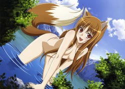 Rule 34 | 1girl, absurdres, animal ears, blush, breasts, brown hair, censored, cleavage, cloud, convenient censoring, day, fang, hair censor, hair over breasts, highres, holo, leaning forward, long hair, medium breasts, non-web source, nude, open mouth, red eyes, shinohara kenji, sky, solo, spice and wolf, tail, very long hair, wading, water, wolf ears, wolf tail