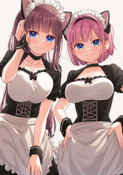 Rule 34 | 2girls, alternate costume, animal ears, apron, backlighting, black choker, blue eyes, blunt bangs, bob cut, breasts, brown hair, cat ears, choker, collarbone, dress, frills, hair intakes, hand in own hair, hand on own thigh, hands on own hips, highres, large breasts, long hair, looking at viewer, maid, maid apron, maid headdress, mochizuki momiji, multiple girls, new game!, pink hair, purple hair, short hair, side-by-side, simple background, smile, split mouth, swept bangs, takimoto hifumi, tokunou shoutarou, very long hair, white background, wrist cuffs