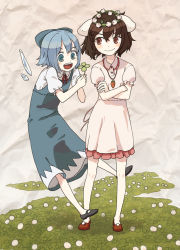 Rule 34 | 2girls, cirno, clover, clover (flower), crossed arms, flower, four-leaf clover, head wreath, inaba tewi, itsutsu, multiple girls, smile, touhou