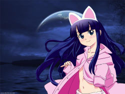 Rule 34 | 00s, 1girl, animal ears, cat ears, hazuki (tsukuyomi), solo, tsukuyomi moonphase
