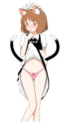 Rule 34 | 1girl, animal ears, bad id, bad pixiv id, black bow, blush, bow, bow panties, brown eyes, brown hair, cat ears, cat tail, chen, clothes lift, dress, dress lift, embarrassed, finger to mouth, frills, full-face blush, highleg, highleg panties, highres, knees together feet apart, legs together, lifted by self, long legs, looking to the side, maid headdress, multiple tails, navel, panties, pink panties, shiisuu rattamu, short hair, solo, tail, touhou, two tails, underwear