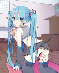 Rule 34 | 1girl, anal tail, ass, blue eyes, blue hair, butt plug, cellphone, fake tail, hatsune miku, highres, matching hair/eyes, md5 mismatch, mizuno monaka, phone, selfie, sex toy, skirt, smartphone, solo, tail, thighhighs, toy, twintails, vibrator, vocaloid