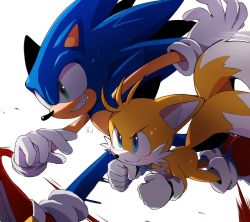Rule 34 | 2boys, animal nose, blue eyes, closed mouth, fang, fox boy, furry, furry male, gloves, green eyes, grin, highres, male focus, misuta710, multiple boys, multiple tails, red footwear, running, simple background, smile, sonic (series), sonic the hedgehog, tail, tails (sonic), two tails, v-shaped eyebrows, white background, white gloves