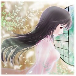 Rule 34 | 1girl, black hair, breasts, expressionless, houraisan kaguya, lips, long hair, looking down, open clothes, open robe, petals, profile, red eyes, robe, see-through, solo, touhou, branch, tsukiori sasa, wind, window