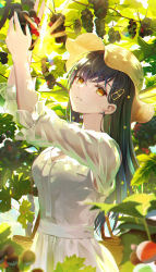 Rule 34 | 1girl, absurdres, arms up, bag, black hair, breasts, brown eyes, brown hat, cleavage, commentary request, day, dress, earrings, food, fruit, grapes, green theme, hair between eyes, hair ornament, hairclip, hat, highres, hyonee, jewelry, long hair, long sleeves, looking at viewer, medium breasts, outdoors, parted lips, project sekai, puffy long sleeves, puffy sleeves, see-through, see-through sleeves, shiraishi an, solo, stud earrings, sun hat, very long hair, white dress