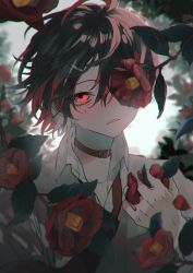 Rule 34 | 1boy, absurdres, ahoge, black hair, blush, collar, collared shirt, cross hair ornament, flower, flower over eye, garden, hair ornament, highres, looking at viewer, male focus, mogama (kaese), mole, mole under eye, multicolored hair, necktie, one eye covered, original, parted lips, red collar, red eyes, red flower, red hair, red necktie, shirt, solo, unhappy, white background, white shirt