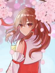 Rule 34 | 1girl, bare shoulders, blurry, bokeh, bow, brown eyes, brown hair, cherry blossoms, depth of field, detached sleeves, from behind, hair between eyes, hair bow, hair tubes, hakurei reimu, highres, light smile, long hair, looking at viewer, looking back, red bow, red shirt, sarashi, shirt, sidelocks, solo, touhou, twitter username, upper body, wa layla