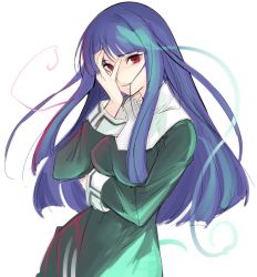Rule 34 | 1girl, asagami fujino, aura, blue hair, breasts, commentary request, habit, hair in own mouth, hand on own face, hand over eye, hand up, kara no kyoukai, long hair, long sleeves, looking at viewer, medium breasts, nun, parted lips, red eyes, reien girl&#039;s academy school uniform, school uniform, simple background, smile, solo, tetsu (kimuchi), traditional nun, upper body, white background