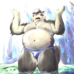 Rule 34 | 1boy, animal ears, arms up, bad id, bad twitter id, bara, big belly, blue male swimwear, brown fur, dog boy, dog ears, fat, fat man, fawn2661, furry, furry male, highres, looking up, male focus, male swimwear, moritaka (housamo), multiple scars, nipples, scar, solo, sunlight, swim briefs, thick eyebrows, thick thighs, thighs, tokyo houkago summoners, wading
