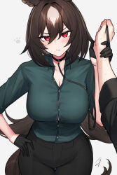 Rule 34 | 1girl, 1other, animal ears, black choker, black gloves, black hair, black pants, black shirt, blush, breasts, choker, cleavage, closed mouth, collared shirt, commentary, ear ornament, gloves, green shirt, hair between eyes, half gloves, hand on own hip, hayabusa, highres, holding another&#039;s wrist, horse ears, horse girl, horse tail, large breasts, leash, long sleeves, looking at viewer, multicolored hair, pants, paw print, red eyes, shirt, shirt tucked in, simple background, sirius symboli (umamusume), solo focus, streaked hair, tail, trainer (umamusume), two-tone hair, umamusume, white hair