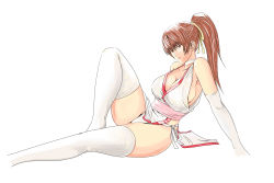 Rule 34 | 1girl, absurdres, bare shoulders, breasts, brown eyes, brown hair, closed mouth, dead or alive, detached sleeves, high ponytail, highres, japanese clothes, kasumi (doa), knee up, long hair, looking at viewer, medium breasts, ninja, obi, panties, pantyshot, pelvic curtain, ponytail, revealing clothes, ribbon, sash, side-tie panties, simple background, sitting, solo, thighhighs, underwear, user tggn7272, white background, white thighhighs