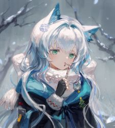 Rule 34 | 1girl, animal ears, arknights, blush, cat ears, cat girl, commentary, fingerless gloves, gloves, green eyes, highres, hood, hood down, hooded jacket, jacket, long hair, rosmontis (arknights), scarf, silver hair, solo, spacelongcat, tongue, tongue out, white scarf