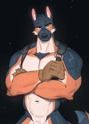 Rule 34 | 1boy, animal ears, another eidos-r, bara, barlitz (another eidos), black background, blue eyes, canyne khai, crossed arms, dog boy, dog ears, furry, furry male, gloves, highres, holster, large pectorals, looking at viewer, male focus, multicolored fur, muscular, muscular male, navel, nude, pectorals, penis, penis peek, shoulder holster, signature, simple background, solo, tail, thick arms, v-taper