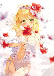 Rule 34 | 1girl, ahoge, bare shoulders, blonde hair, blurry, blurry foreground, blush, breasts, center opening, cleavage, closed mouth, cowboy shot, daitai sotogawa (futomomo), dress, fate/grand order, fate (series), flower, garter straps, green eyes, hair flower, hair intakes, hair ornament, hand up, holding, holding flower, looking at viewer, medium breasts, navel, nero claudius (fate), nero claudius (fate) (all), nero claudius (fate/extra), red flower, short hair, simple background, smile, solo, standing, stomach, thigh gap, thighhighs, white background, white dress, white flower, white thighhighs
