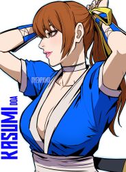 Rule 34 | 1girl, breasts, brown hair, cleavage, dead or alive, from side, hair ribbon, highres, kasumi (doa), large breasts, lips, long hair, oyenpaws, ponytail, ribbon, short sleeves, solo, upper body