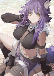 Rule 34 | 1girl, animal ears, arm support, beach, belt, black gloves, breasts, brown belt, fingerless gloves, gloves, highres, large breasts, long hair, looking at viewer, makoto (princess connect!), midriff, momiji oroshi, navel, princess connect!, purple hair, purple shorts, shorts, sitting, solo, tail, wolf ears, wolf tail, yellow eyes