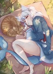 Rule 34 | 1girl, absurdres, animal, animal ear fluff, animal ears, animal hood, bare legs, barefoot, between legs, blanket, blue hair, cat, cat ears, commentary, day, fins, fish tail, full body, gawr gura, grass, highres, hirasawa izumi, hololive, hololive english, hood, long hair, long sleeves, lying, multicolored hair, on side, open mouth, outdoors, shark girl, shark hood, shark tail, sleeping, sleeves past wrists, solo, streaked hair, tail, tail between legs, two side up, virtual youtuber, white hair, wide sleeves