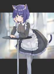Rule 34 | 1girl, absurdres, animal ear fluff, animal ears, apron, black dress, blue eyes, blue hair, blurry, blurry background, blush, buttons, cat ears, cat girl, cat tail, closed mouth, collared dress, commentary, depth of field, dress, frilled apron, frills, hand on own cheek, hand on own face, head rest, highres, leaning forward, letterboxed, light blush, long sleeves, looking at viewer, maid, maid apron, original, pantyhose, puffy sleeves, ryou (ponpgo), short hair, solo, symbol-only commentary, table, tail, white apron, white pantyhose