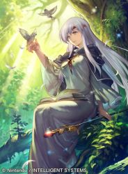 Rule 34 | 1girl, bird, blue eyes, book, cape, capelet, company connection, copyright name, dress, feathers, fire emblem, fire emblem: genealogy of the holy war, fire emblem cipher, forest, jewelry, julia (fire emblem), long dress, long hair, long sleeves, nature, nintendo, official art, purple hair, sitting, staff, umiu geso, very long hair, wide sleeves