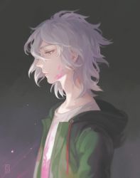 Rule 34 | 1boy, artist name, blood, blood on face, collarbone, commentary request, danganronpa (series), danganronpa 2: goodbye despair, driftwoodwolf, expressionless, from side, green jacket, grey hair, hair between eyes, jacket, komaeda nagito, looking down, male focus, messy hair, open clothes, open jacket, pink blood, print shirt, profile, shirt, solo, upper body, white shirt