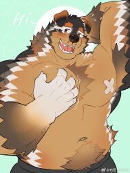 Rule 34 | 1boy, animal ears, bandaid, bandaids on nipples, bara, belly, black fur, boogbogex, brown eyes, brown fur, chest hair, cowboy shot, dog boy, dog ears, english text, fat, fat man, fluffy, furry, furry male, grabbing, groping, haki (boogbogex), highres, large pectorals, looking to the side, male focus, motion lines, muscular, muscular male, navel, navel hair, nervous smile, orange fur, original, pasties, pectoral grab, pectorals, scratching head, smile, solo, thick eyebrows, topless male, whiskers, white fur
