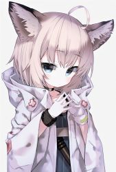 Rule 34 | 1girl, ahoge, animal ears, arknights, bad id, bad pixiv id, black choker, black wristband, blue eyes, blue shirt, choker, coat, commentary request, fox ears, fox girl, fox tail, gloves, hands up, highres, hood, hooded coat, infection monitor (arknights), light blush, long sleeves, looking at viewer, open clothes, open coat, poppypilf, shirt, short hair, simple background, solo, sussurro (arknights), tail, upper body, white background, white coat, white gloves, wide sleeves
