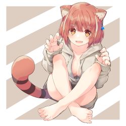 Rule 34 | 1girl, barefoot, beige hoodie, blush, breasts, brown hair, claw pose, cleavage, collarbone, commentary, ear ornament, full body, highres, hood, hoodie, large breasts, looking at viewer, multicolored hair, naked hoodie, nijisanji, open mouth, orange eyes, ratna petit, rb2, red panda ears, red panda tail, simple background, sitting, smile, solo, streaked hair, striped, striped background, virtual youtuber