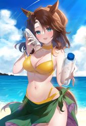 Rule 34 | 1girl, :d, absurdres, animal ears, bangle, bare arms, bare shoulders, beach, bikini, blue eyes, blue sky, blush, bottle, bracelet, breasts, brown hair, cleavage, cloud, commentary request, day, etesumsom, hair between eyes, highres, holding, holding bottle, horizon, horse ears, horse girl, horse tail, jewelry, long hair, looking at viewer, medium breasts, mejiro palmer (umamusume), multicolored hair, ocean, open mouth, outdoors, parted bangs, ponytail, sand, sarong, sidelocks, sky, smile, solo, streaked hair, swimsuit, tail, umamusume, water, water bottle, white hair, yellow bikini