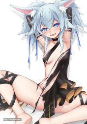 Rule 34 | 1girl, :d, animal ears, armpits, arms behind head, arms up, bare legs, black dress, black gloves, black ribbon, blue eyes, blue ribbon, blush, breasts, dress, elbow gloves, fang, fox ears, fox girl, girls&#039; frontline, gloves, groin, hair between eyes, hair ribbon, highres, knees apart feet together, leg ribbon, legs, legs folded, long hair, looking at viewer, midriff, navel, nervous smile, no bra, no panties, open mouth, pa-15 (girls&#039; frontline), pa-15 (lady thief of champagne) (girls&#039; frontline), ribbon, silver hair, simple background, sitting, small breasts, smile, solo, spread legs, thighs, torn clothes, torn dress, twintails, vahn yourdoom, white background