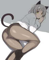Rule 34 | 1girl, animal ears, ass, bad id, bad twitter id, black pantyhose, cat ears, cat tail, dress shirt, glastonbury1966, green eyes, grey hair, long sleeves, lying, on side, panties, panties under pantyhose, pantyhose, sanya v. litvyak, shirt, short hair, solo, strike witches, tail, underwear, world witches series