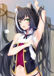 Rule 34 | 1girl, animal ear fluff, animal ears, arm up, armpits, cat ears, cat tail, commentary request, fang, green eyes, highres, irohara, karyl (princess connect!), long hair, looking to the side, multicolored hair, navel, open mouth, princess connect!, sleeveless, solo, streaked hair, tail, twintails