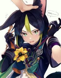 Rule 34 | 1boy, 1other, animal ear fluff, animal ears, artist name, black gloves, black hair, black shirt, blue eyes, blue hoodie, blunt ends, earrings, fingernails, flower, flying sweatdrops, fox boy, fox ears, fox tail, genshin impact, gloves, green hair, hair between eyes, hand on another&#039;s head, hands up, highres, hood, hoodie, jewelry, leaf earrings, looking at another, looking up, multicolored hair, open mouth, shirt, short hair, short sleeves, simple background, single earring, speech bubble, standing, sweat, sweatdrop, tail, tassel, tighnari (genshin impact), tongue, translation request, two-tone hair, two-tone hoodie, uru (shikuixi), v-shaped eyebrows, white background, white hoodie, yellow flower